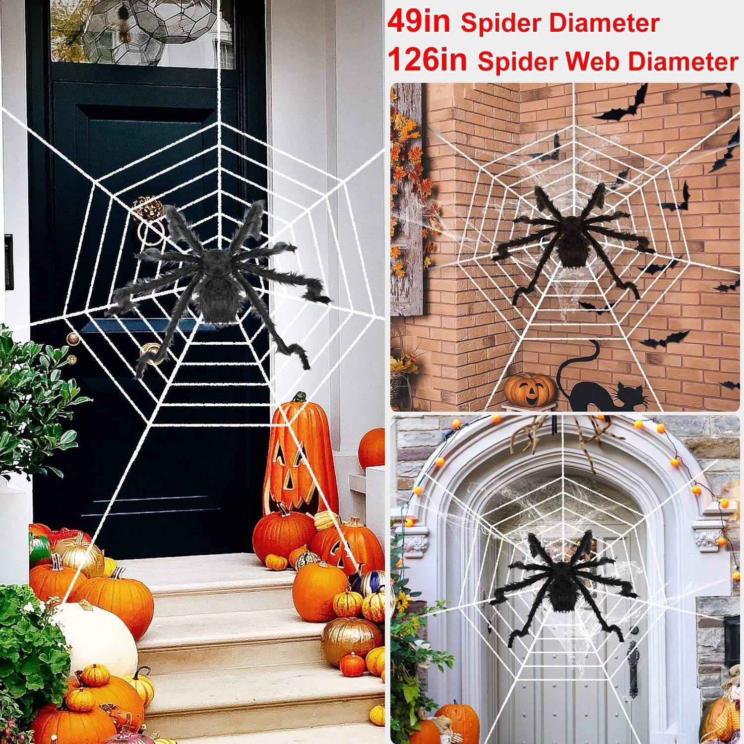 Giant 49 inch black Halloween spider with 126 inch white web on porch